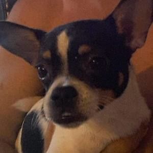 Meet your Posher, Fran